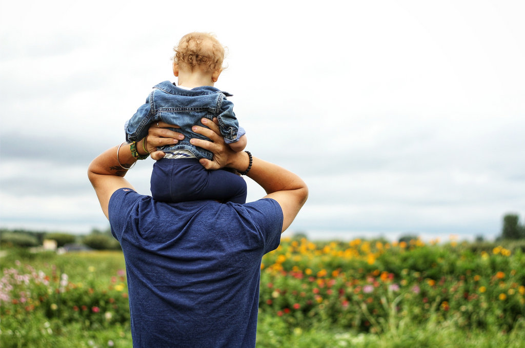 The best plants for dads