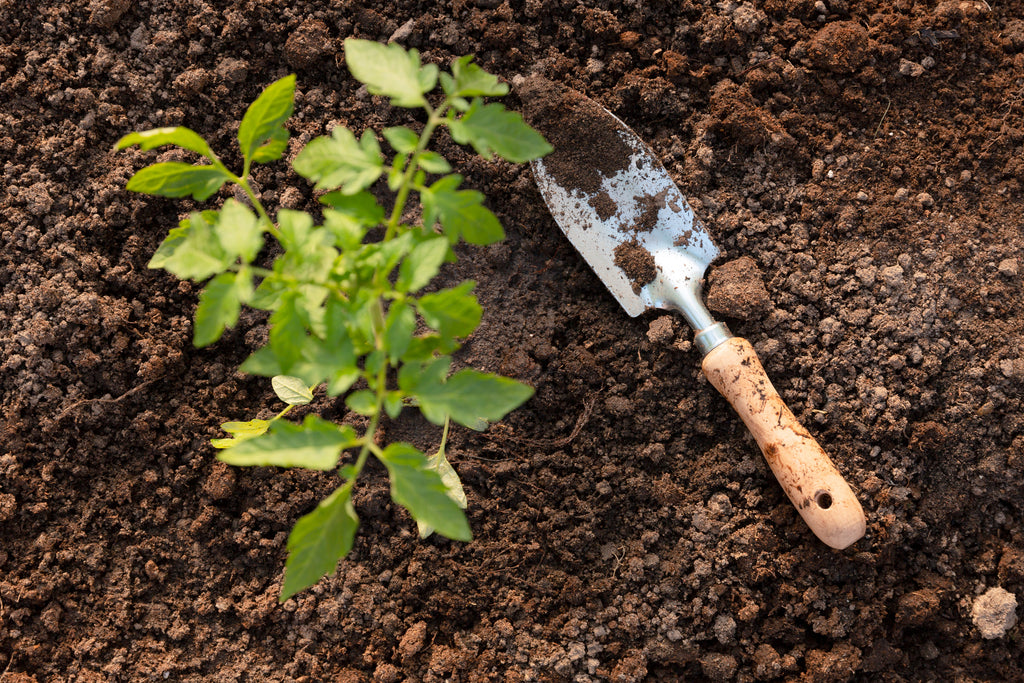 A Simple Guide to Garden Soil