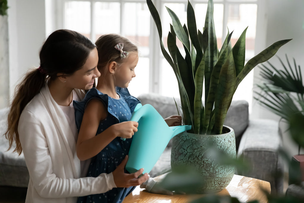 Top 10 Gifts for Mother's Day in 2023!