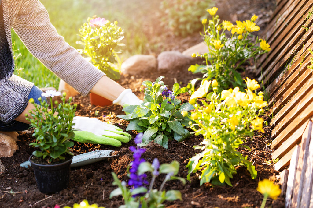 Understanding Hardiness Zones in Canada