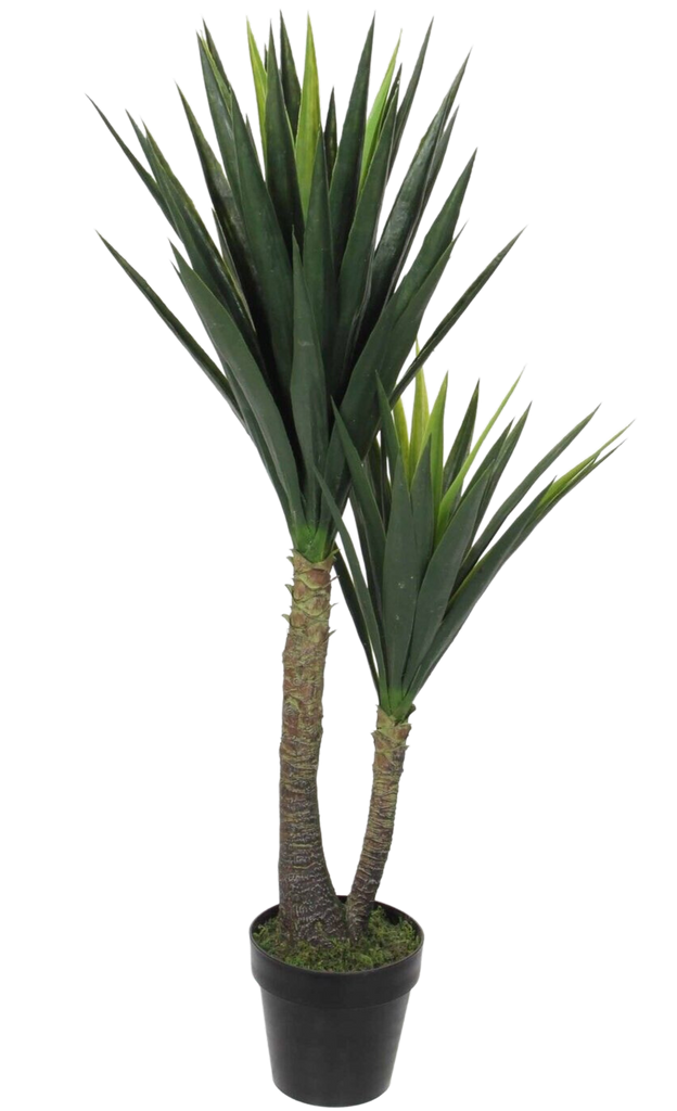 Artificial Joshua Tree Cane Yucca in Pot 10" Pot Pet Friendly And