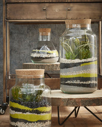 inspiratie-1