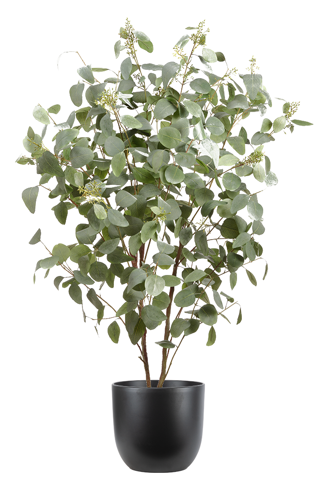 Artificial Eucalyptus Tree 10" Pot Pet Friendly And Easy Care