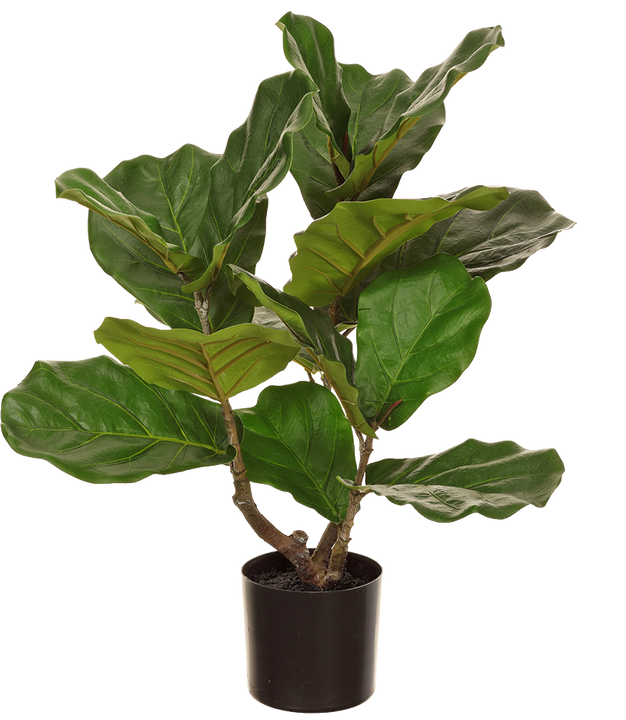 Artificial Ficus Lyrata | Fiddle Leaf Fig
