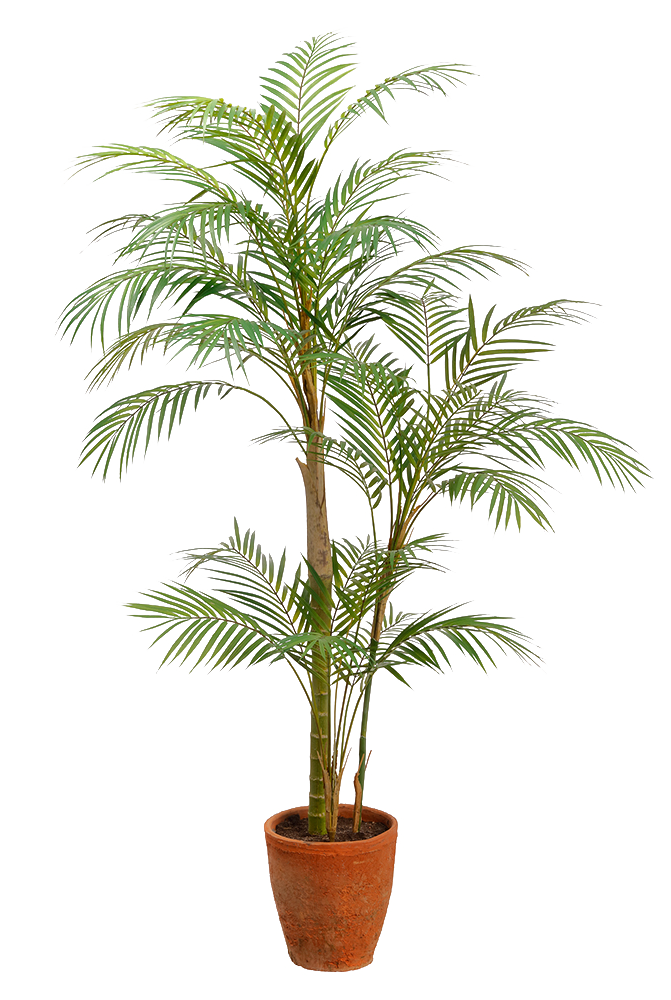 Artificial Areca Palm in Clay Pot 10" Pot Pet Friendly And Easy