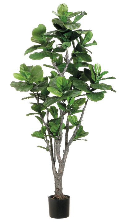Artificial Ficus Lyrata Trunk | Fiddle Leaf Fig Multi Trunk (XXL)
