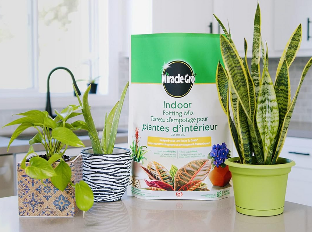 miracle gro indoor potting mix reddit Miracle Gro All Purpose Indoor Potting Mix