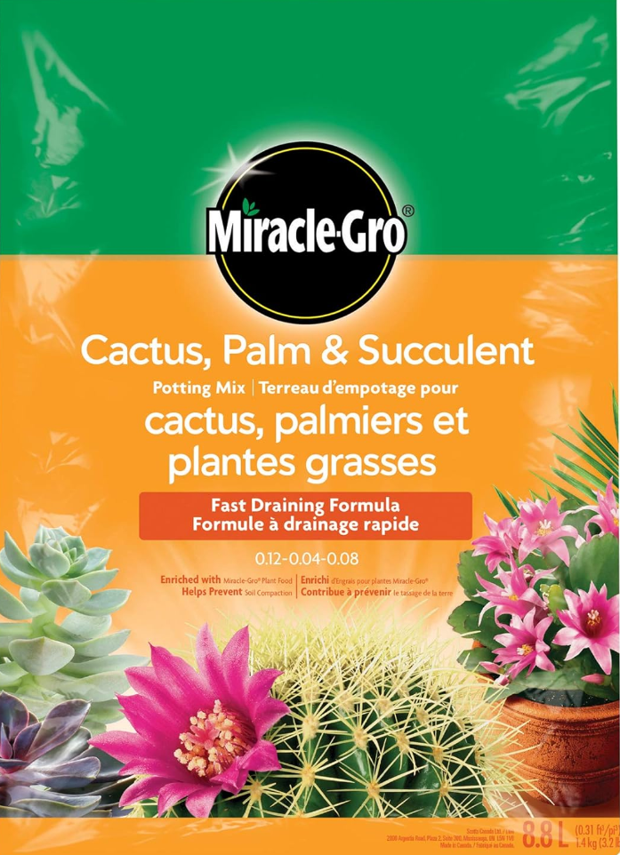 palm and cactus soil Miracle Gro Cactus Palm and Succulent Potting Mix