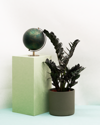 inspiratie-1