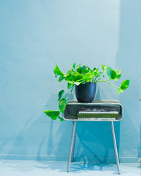 inspiratie-3