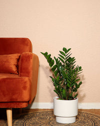 inspiratie-1
