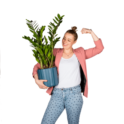 Plantenliefhebber