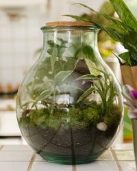 inspiratie-1