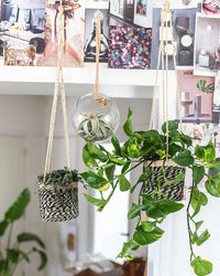 inspiratie-1