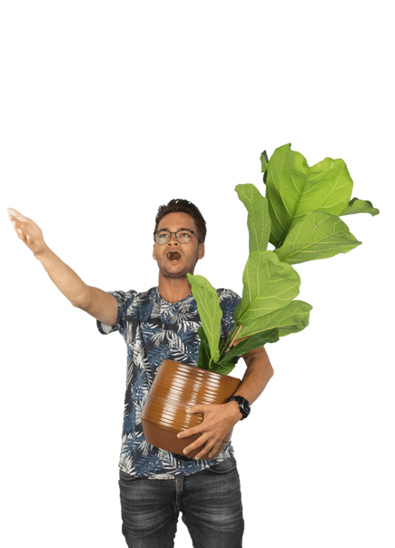 Plantenliefhebber