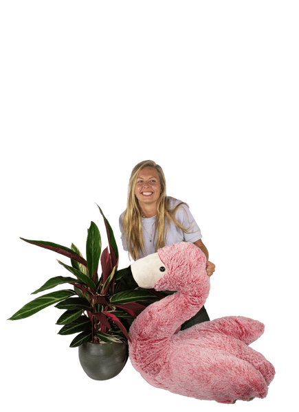 Plantenliefhebber