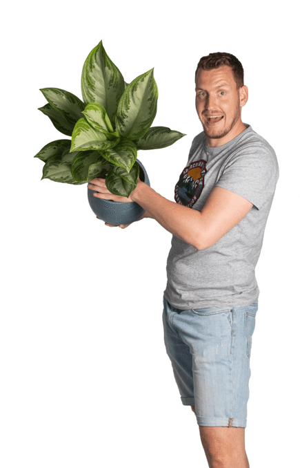 Plantenliefhebber