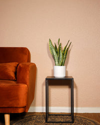 inspiratie-4