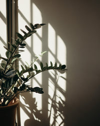 inspiratie-2