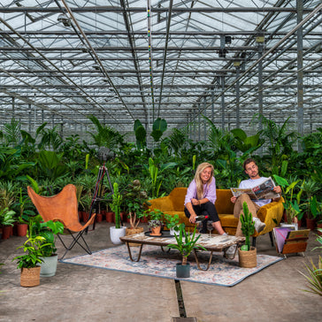 The How-To's of Fall Plant Care