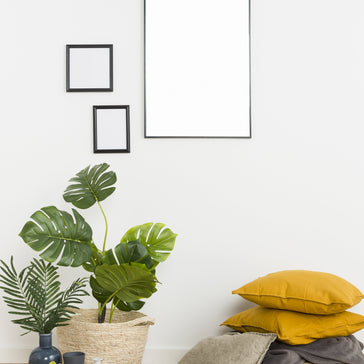 Plants and interior trends