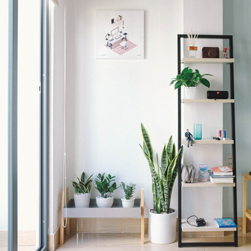 How to fit plants in smaller homes