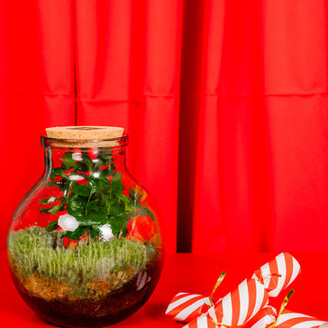 The 2023 Holiday Gift Guide for Everyone on Your List