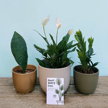 11 Father’s Day Gift Ideas - For The One That’s Always Rooting For You!