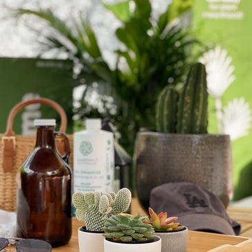 Our 5 Survival Tips for your Plants to Thrive this Summer