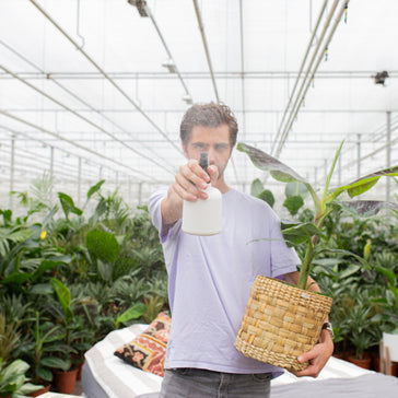 5 Plant Pests to Watch Out For This Spooky Season