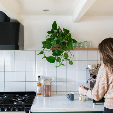 11 plants for every spot in your kitchen