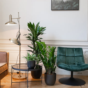 Spice up the Space! 6 Pinterest Inspired House Plant Set Ups