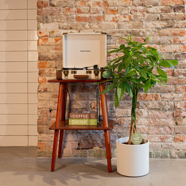 Plant of the Month: May 2024