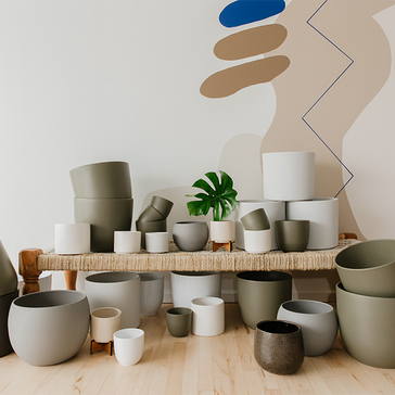 The Ultimate Guide to Choosing a Pot for your Indoor Plant