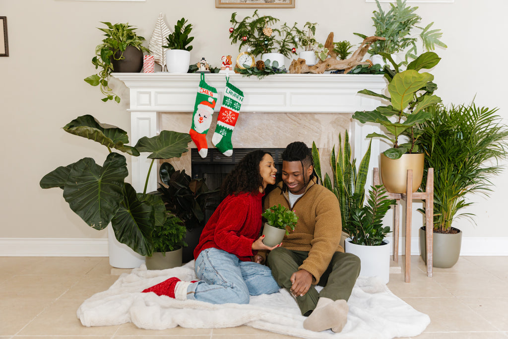Deck the Halls Green: Plant-Inspired Holiday Decor