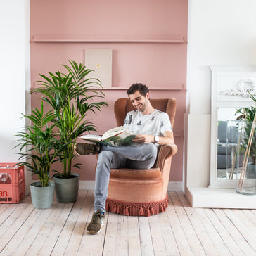 All about caring for your new green amigo