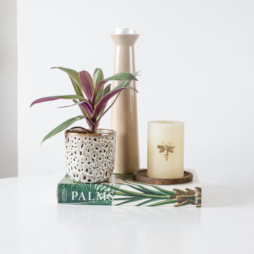 7 Simple Ways to Style Plants in Your Home