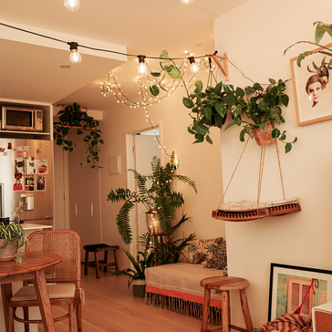 Why you should have indoor plants in your home this year