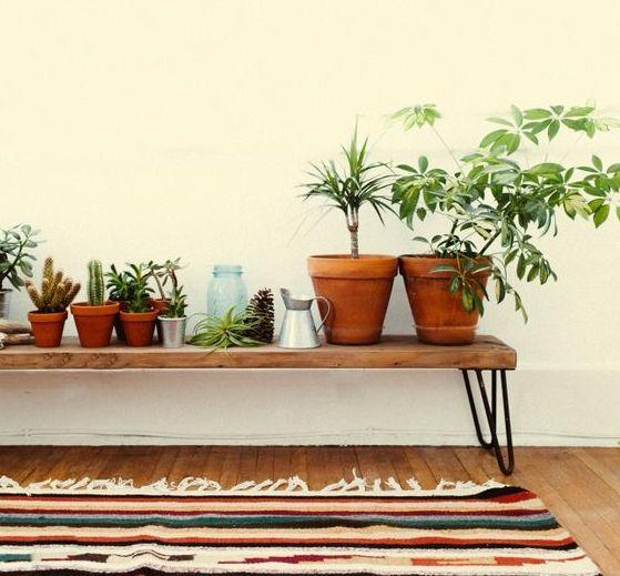 Inspiration: Plants in your hallway!
