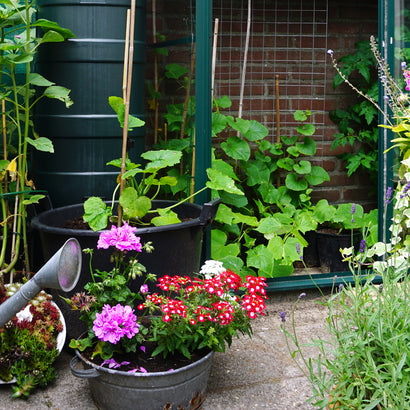 Outdoor Gardening Tips for Small Spaces