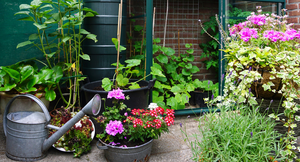 Outdoor Gardening Tips for Small Spaces