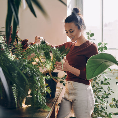 Winter Plant Care Tips for 2026 🌱