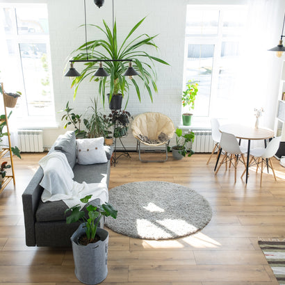 Growing in Small Spaces: A Guide to Apartment Planting