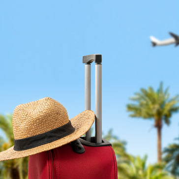 Keeping Your Green Amigo Alive While on Vacation!