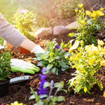 Understanding Hardiness Zones in Canada