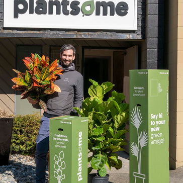 Plantsome.ca has launched!