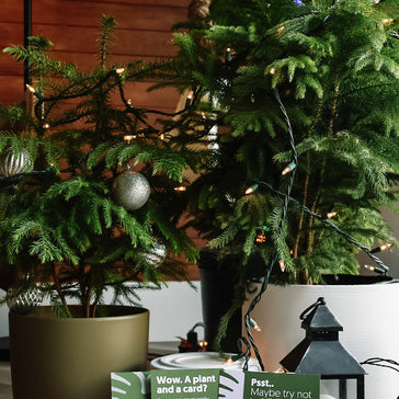 7 Unique Plant-Themed Gifts for the 2020 Holiday Season