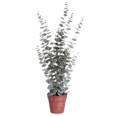 Artificial Eucalyptus in Terra Pot (L)