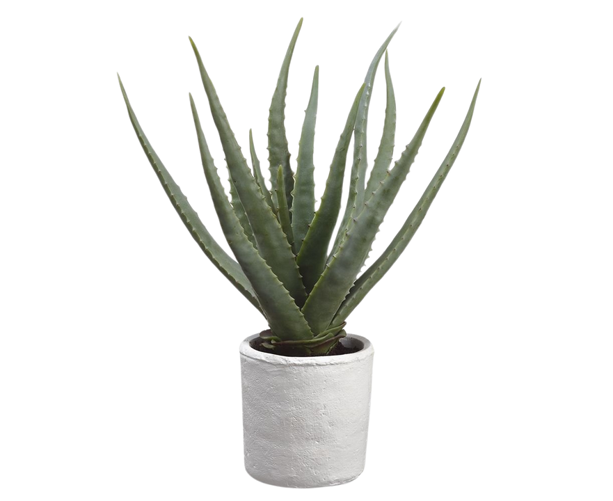 Artificial Agave in White Magnesium Pot