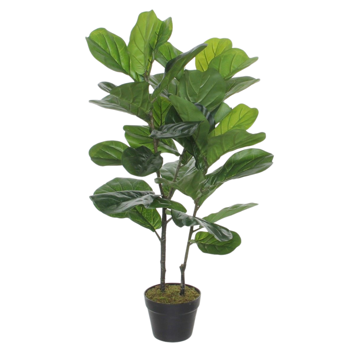 Artificial Ficus Lyrata Trunk (XL) | Fiddle Leaf Fig